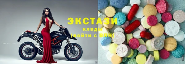 тгк Гусев