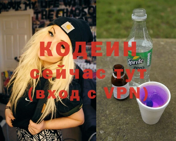 тгк Гусев