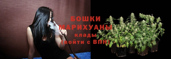 дживик Гусиноозёрск