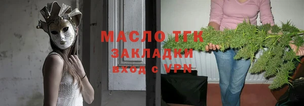 тгк Гусев
