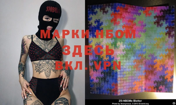 тгк Гусев