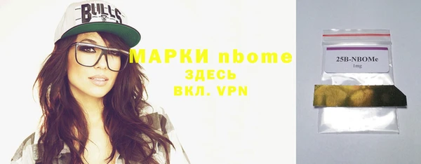 тгк Гусев