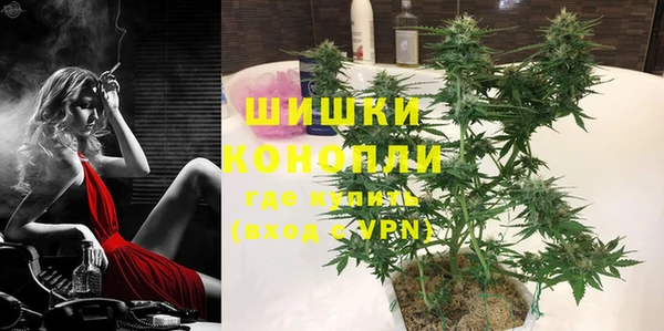 дживик Гусиноозёрск
