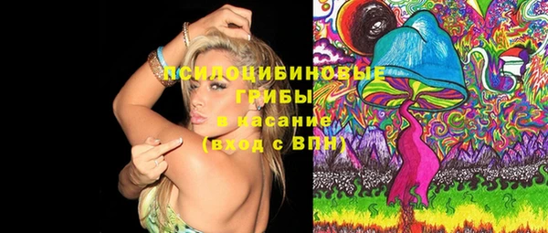 первитин Гусь-Хрустальный