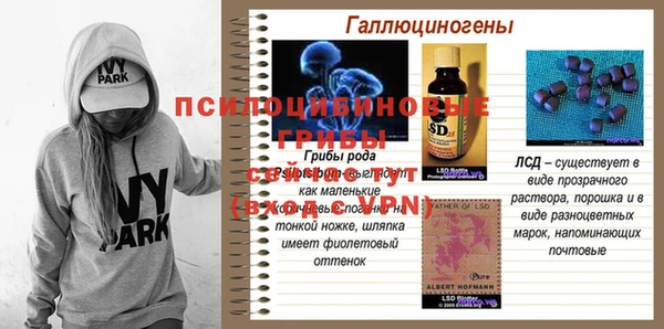 дживик Гусиноозёрск