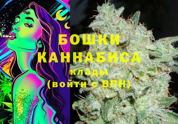 дживик Гусиноозёрск