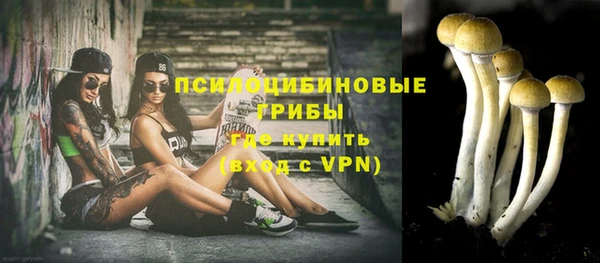 дживик Гусиноозёрск