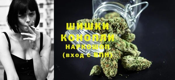 дживик Гусиноозёрск