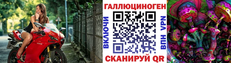 Псилоцибиновые грибы Cubensis  блэк спрут ТОР  Дрезна  цена  